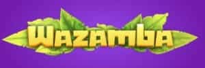 Jogo da sorte spaceman